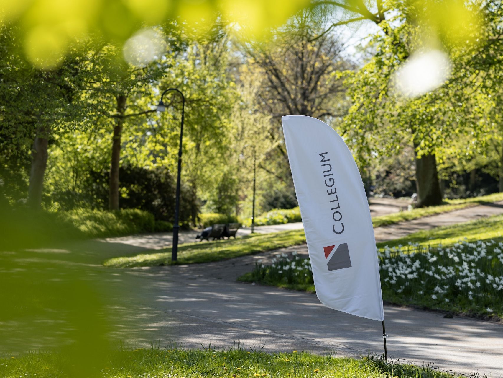 Eine COLLEGIUM-Beachflag im Grünen